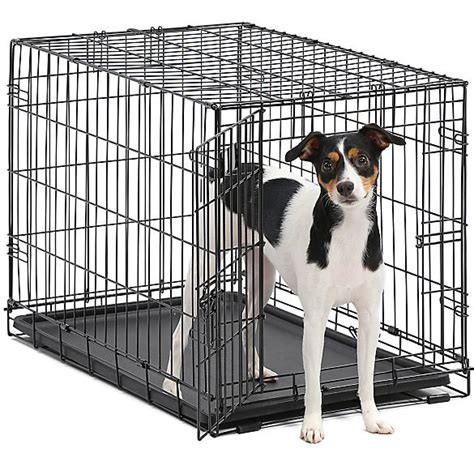 petsmart 48 inch dog crate